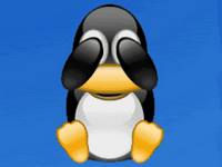 pic for penguin 2